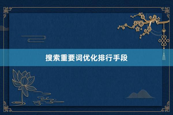 搜索重要词优化排行手段