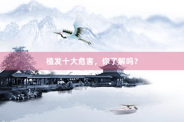 植发十大危害，你了解吗？