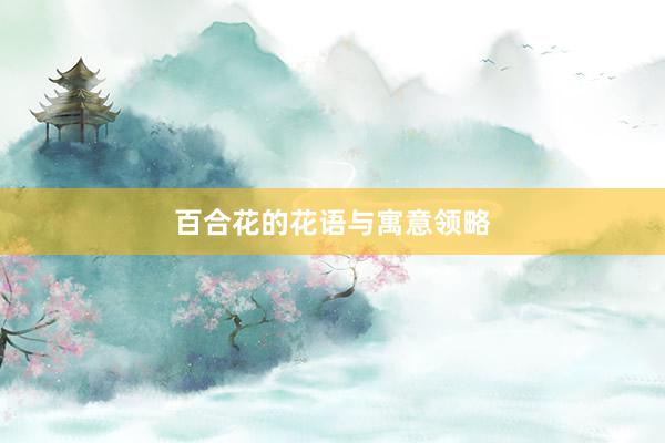 百合花的花语与寓意领略